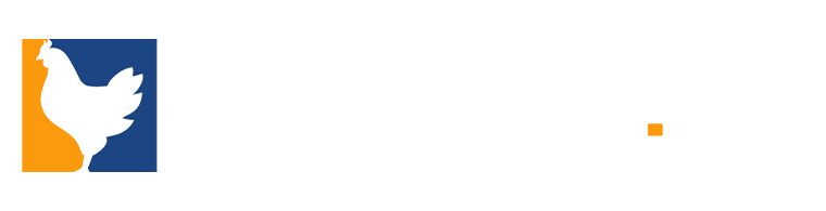 chicken.gg